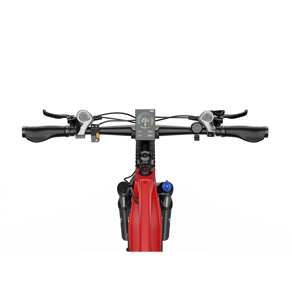 DUOTTS E29 Rower Elektryczny