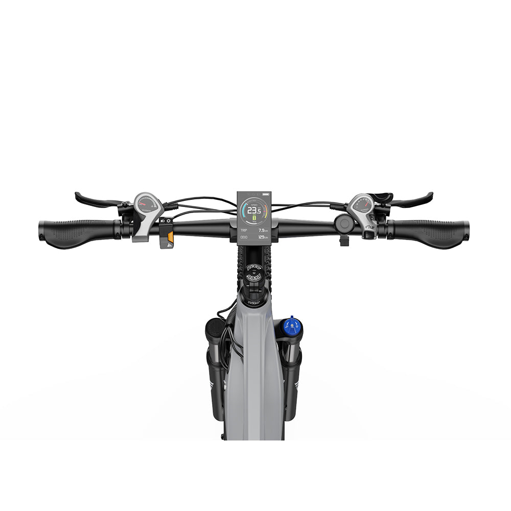 DUOTTS E29 Rower Elektryczny