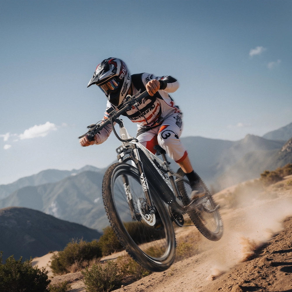 DUOTTS E29 Rower Elektryczny